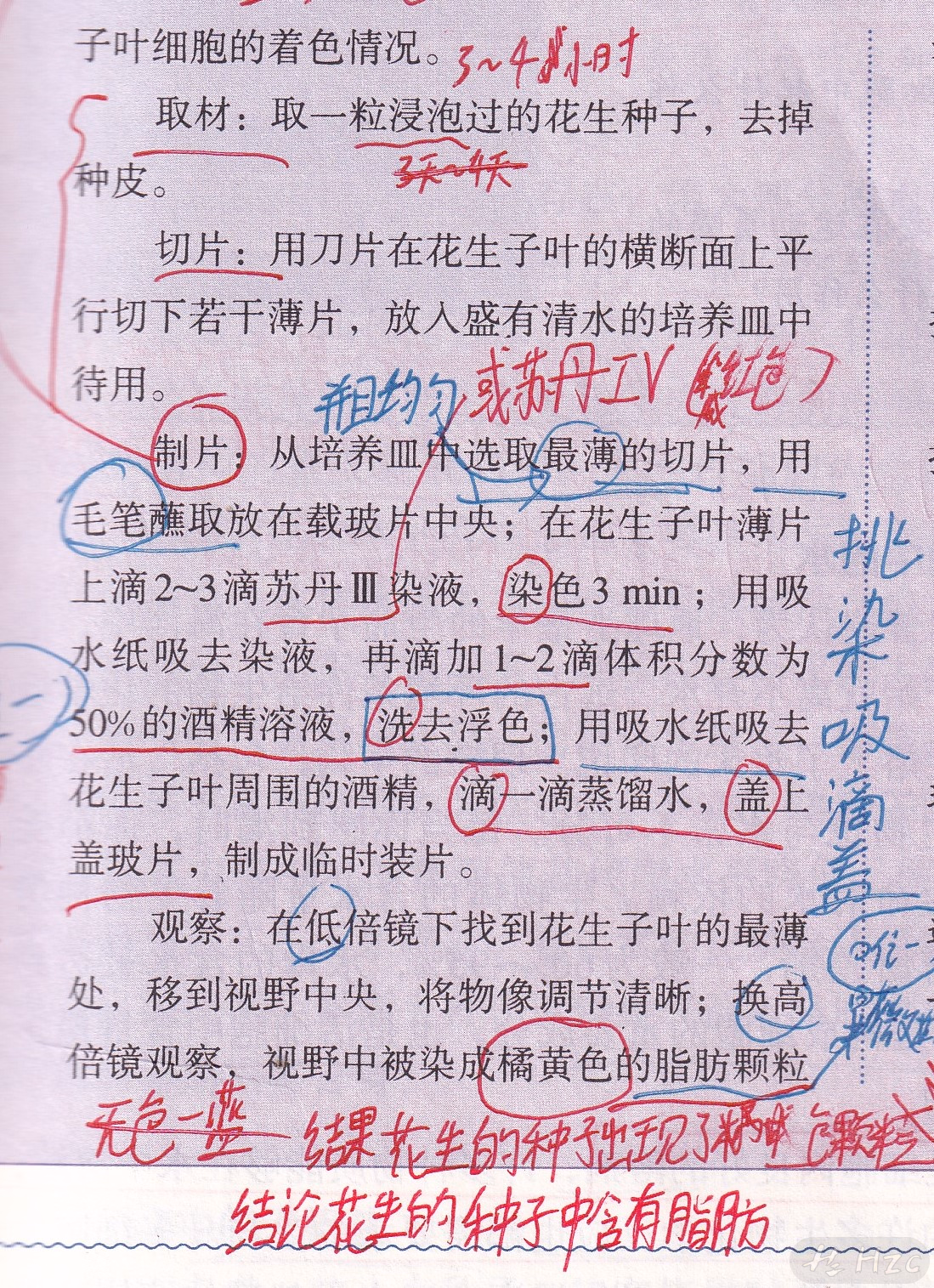 必修一P19