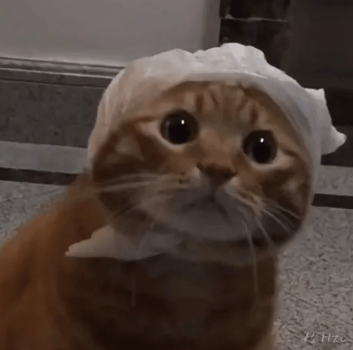 眼巴巴